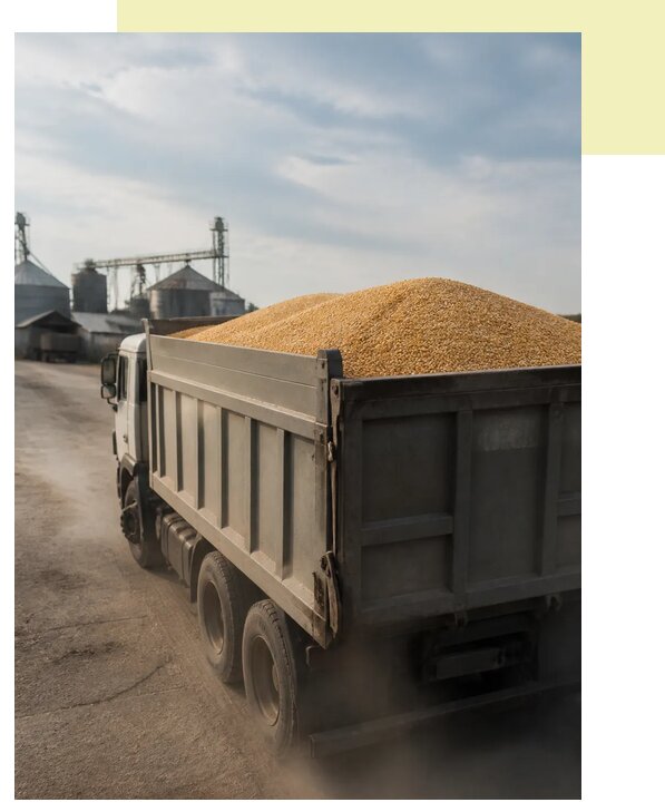 Перевозка сельхозпродукции навалом в Бирск по цене от 3118 р. | Агросервис-Брк