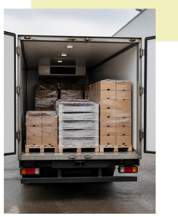 Перевозка замороженных фруктов в Бирск по цене от 5197 р. | Агросервис-Брк